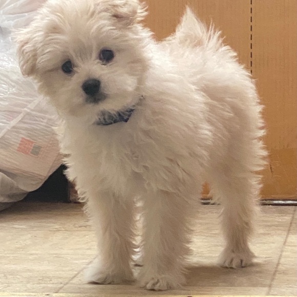 Meet your Posher, Katherine - Picture 1 of 7